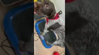 Fred in the wiggle machine!