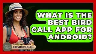 What Is The Best Bird Call App For Android? - Bird Watching Diaries