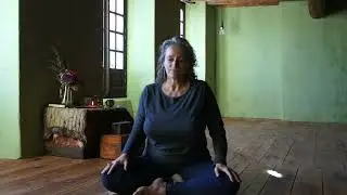 A somatic exploration of the elements we use to bring yoga and mindfulness into union