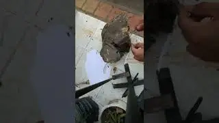 Cuchillo acero 51 60 prueba de resistencia