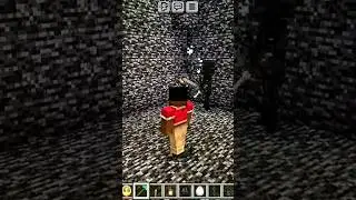WITHER SKELETON VS SKELETON🤨🤨🤨 #minecraft #gaming