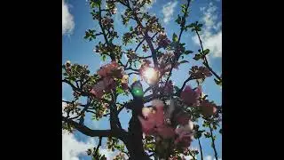 Sunbyonic - Bloom