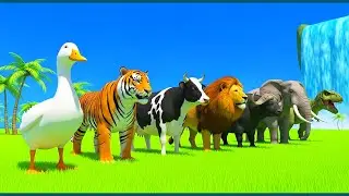 Long Slide Game With Elephant Gorilla Buffalo Hippopotamus Tiger - 3d Animal Game - Funny 3d Animals