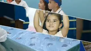 MLC SCHOOL