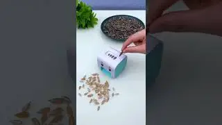Peel Watermelon Seeds in Seconds with Our Automatic Seed Peeler #watermelonlover #seedpeeler