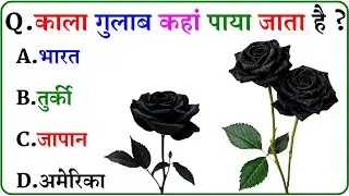 GK Question || GK In Hindi || GK Question and Answer || GK Quiz ||