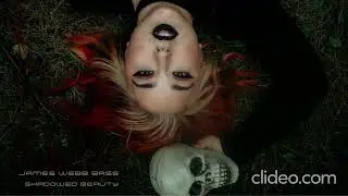 James Webb Bass - 🌑 Shadowed Beauty | Gothic Instrumental Elegance | Haunting Melodies