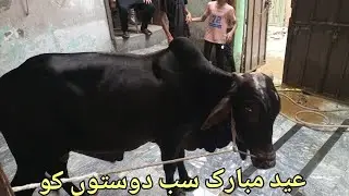 سب دوستوں کو عید مبارک