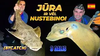 Į𝐒𝐏Ū𝐃𝐈𝐍𝐆𝐎𝐒 𝐊𝐀𝐍𝐀𝐑Ų Ž𝐔𝐕𝐘𝐒 😲 Ž𝐕𝐄𝐉𝐘𝐁𝐀 𝐉Ū𝐑𝐎𝐉𝐄 🎣 𝐅𝐔𝐄𝐑𝐓𝐄𝐕𝐄𝐍𝐓𝐔𝐑𝐀 3dalis #eagleray #stingray #stingrayfishing