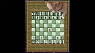 Chess in Starbound