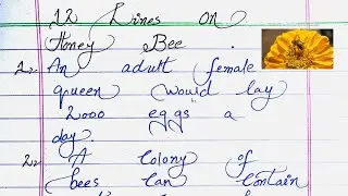 12 Lines on Honey Bee |12 Lines About Honey Bee |SR Handwriting