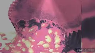 Baked rat (chaoscore)??? (glitchcore)??? Music