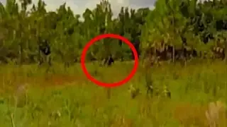 Sasquatch (Skunk Ape) Caught On Tape In Florida USA 2016