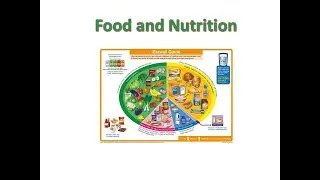 Introduction to food and nutrition