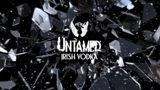 AVALON GROUP EXPANDING PREMIUM IRISH SPIRITS CATEGORY