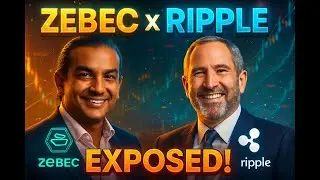 💥 ZEBEC x RIPPLE RLUSD РАСКРЫТ: как ZBCN -XRP Ledger обеспечивает платежи в реальном времени!