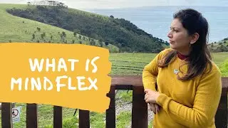 What is Mindflex | Are You Flexing or Settling Your Mind | It's all About Mindset | Sandra Colhando