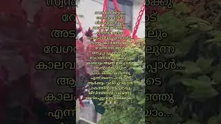 വെറുതെ കിട്ടുന്ന ഒന്നിനും വിലയുണ്ടാവില്ല #shorts #quotes #ytshorts