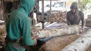 HASIL BERLIPAT POTONG KAYU TEKIK DAN SENGON KASO
