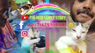 Giving My Cat Medicine is a DAILY BATTLE (The Struggle is Real) || Rik-Mon Family Story ||