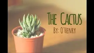The Cactus (Advanced C2) – Learn American English through Short Stories