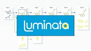 Luminata - The Process Chemist's Workflow (Webinar and Demo)