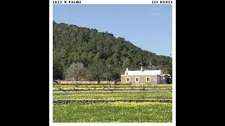 Jazz N Palms - Tarde
