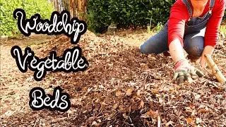 The KEY To Using WOOD CHIPS As A Mulch | Wood Chip Beds - Replenish & Replant | No Dig
