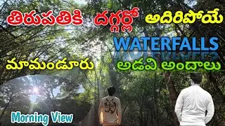 Mamanduru Forest near TIRUPATI Morning view OF forest || అదిరిపోయేe WATER FALLS #mamandur @Abbu7_8_6