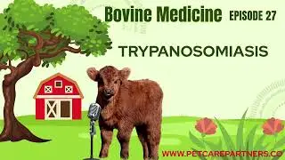 EP 27: Trypanosomiasis in Bovines | Causes, Symptoms & Veterinary Management | Pet Care Partners