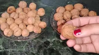 अच्छे और खराब अखरोट की पहचान कैसे करें।वैष्णो माँ के दरबार में अखरोट की ठगी से कैसे बचें।Akhrot