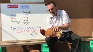 How I Save Money On My Annual Grocery Bill Because Of My Pets / Brampton / Chickens / Pets / Eggs