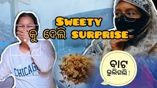 How did I surprised to  sweety? ||Soumya's vlog ll dailyvlog ll viral ll newpost ll