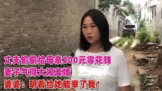 丈夫一出手220元，老婆翻臉離婚，婆婆說：“明著給她，她就要宰了我” #案件調查 #懸案密碼 #懸案破解 #懸案調查 #大案紀實