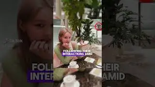 Джей-Хоуп наконец-то встретился со своей предполагаемой девушкой в ​​реальной жизни, шокировав фа...