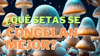 &iquest;Qu&eacute; setas se CONGELAN MEJOR? | TRUCO conservar hasta 1 a&ntilde;o