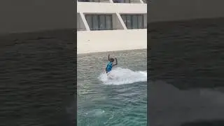 Dolphin ride #shorts #Cancun #footpush #HyattZiva