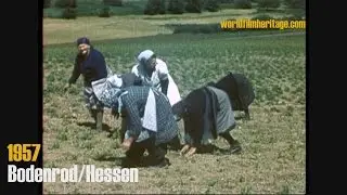 1957 Bodenrod - Hessen (color) - Dorf u. Landwirtschaft