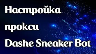 Пошаговая настройка прокси в Dashe Sneaker Bot