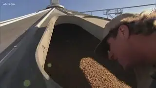 How the new Farm Bill could impact East Tennessee