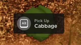 [ Project Star ] Cabbage Location ( Cabbage Quest )