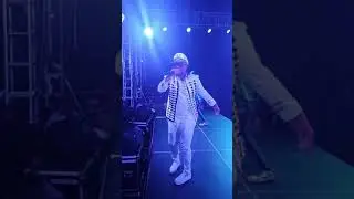 VEE MAMPEEZY GREAT LIVE PERFORMANCE