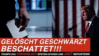 Epstein-Akten: Trump &Uuml;BERWACHT Reporter, ignoriert P&Auml;DOPHILE?
