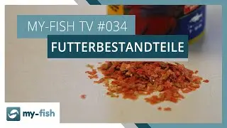 Zusammensetzung von Fischfutter erkl&auml;rt | my-fish TV