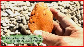 Rockhounding Oregon - Tips Tricks and Secrets