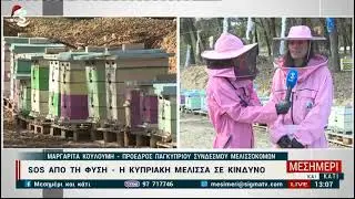 Η σημασία της κυπριακής μέλισσας και γιατί η Κύπρος χρειάζεται το δικό της Κέντρο Μελισσοκομίας