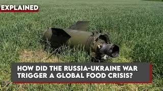 Explained: How the Russia-Ukraine war triggered a global food crisis