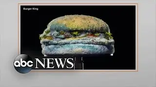 Burger King&rsquo;s latest marketing strategy raises questions