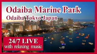 【お台場ライブカメラ】 Live Beach Cam - Obaiba Beach, Tokyo JAPAN / Houseboat / japan travel / Live cam