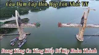 Cầu Dầm Cáp Hỗn Hợp Lớn Nhất VN | Đang Dồn Lực Tăng Ca Để Kịp Hoàn Thành 5/2/2026